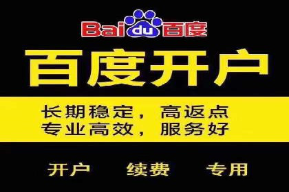 SEM竞价托管服务，成功案例展示转化成果